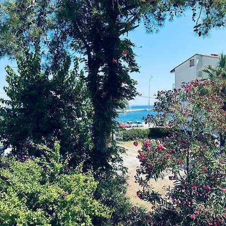 Garden * لايميناس