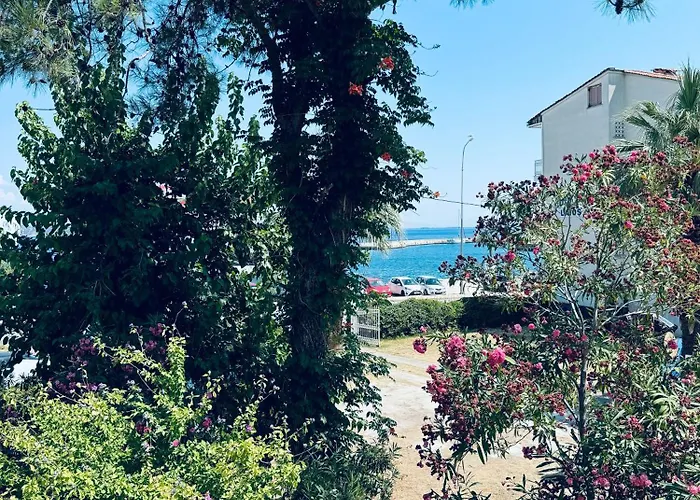 Garden * Liménasz