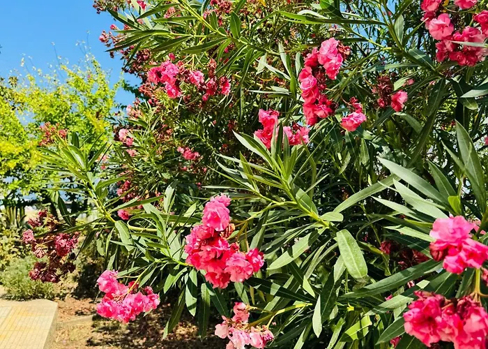 Nyaraló Garden *