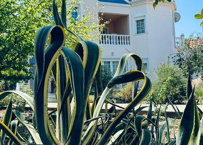 Nyaraló Garden